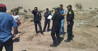 Retiran 400 rboles de la falda del cerro Arunta en Tacna.