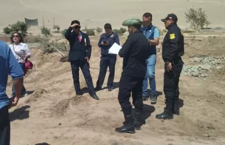 Retiran 400 rboles de la falda del cerro Arunta en Tacna.