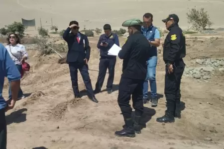 Retiran 400 rboles de la falda del cerro Arunta en Tacna.