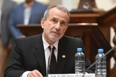Elmer Schialer en el Congreso