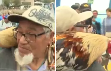 Hombre llev a su gallo a la apertura del puente La Paz
