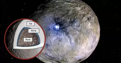 Hallan pruebas de haber existido microorganismos en un planeta enano.