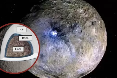 Hallan pruebas de haber existido microorganismos en un planeta enano.