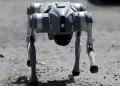 Estado de Mxico adquiri perro robot con IA que conciencia a ciudadanos sobre el maltrato animal