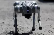 Estado de Mxico adquiri perro robot con IA que conciencia a ciudadanos sobre el maltrato animal