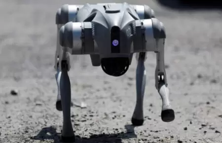 Waldog, el perro robot que conciencia en Mxico.