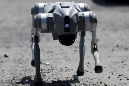 Waldog, el perro robot que conciencia en Mxico.