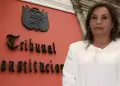 Dina Boluarte solicita al Tribunal Constitucional que aclare y precise lmites de investigacin en su contra