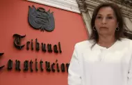 Dina Boluarte solicita al Tribunal Constitucional que aclare y precise lmites de investigacin en su contra