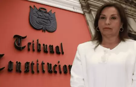 Dina Boluarte solicita al Tribunal Constitucional que aclare y precise lmites d