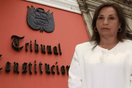 Dina Boluarte solicita al Tribunal Constitucional que aclare y precise lmites d