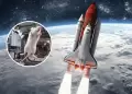 Mil moscas y 75 ratones rumbo al espacio: El experimento de Rusia para anticipar el riesgo de viajes interplanetarios