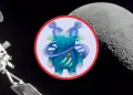 Per llegara a la Luna: Diseo peruano podra ser la mascota oficial de la misin Artemis II de la NASA