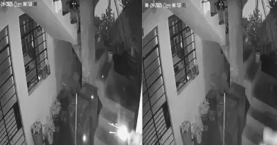 Mascota de periodista evita atentado con dinamita.