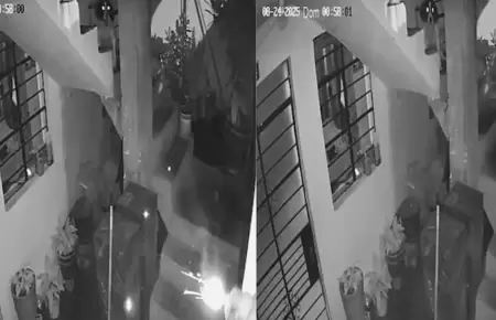 Mascota de periodista evita atentado con dinamita.