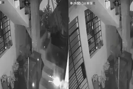 Mascota de periodista evita atentado con dinamita.