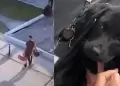 Hombre fue detenido por abandonar a su perro en aeropuerto de Brasil: Se le acus de maltrato animal
