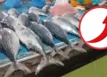 Subi el precio de pescados y mariscos?: Comerciantes anuncian incremento de precios por fuertes oleajes