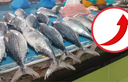 Suben precios de bonito y jurel por oleajes