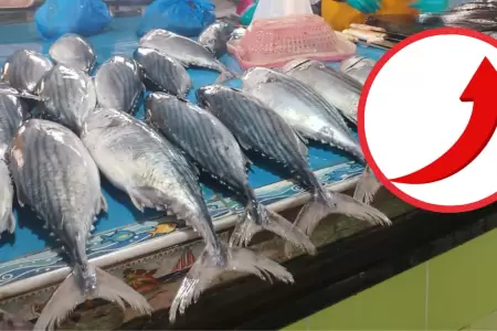 Suben precios de bonito y jurel por oleajes