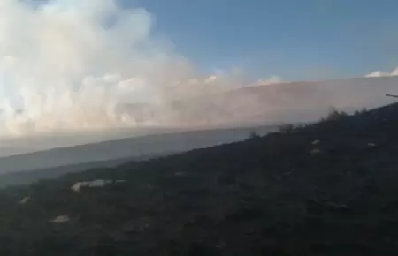 Controlan cinco incendios forestales.