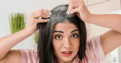 ¿La aparición de canas se debe solo al envejecimiento?: Conoce qué habito común