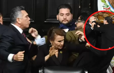 El enfrentamiento entre los senadores termin en empujones y golpes.