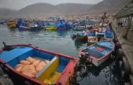 Pesca artesanal en crisis: Tacna exige acciones urgentes al ejecutivo