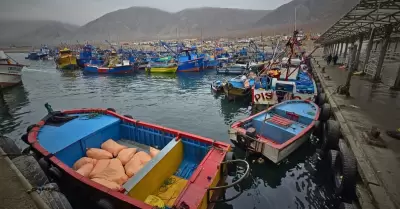 Pesca artesanal
