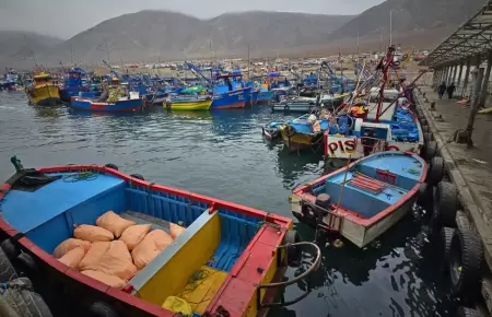 Pesca artesanal