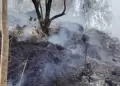 Senamhi advierte nuevas condiciones atmosfricas capaces de generar incendios forestales en cinco regiones