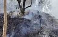 Senamhi advierte nuevas condiciones atmosfricas capaces de generar incendios forestales en cinco regiones
