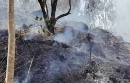 Advierten nuevas condiciones atmosfricas capaces de generar incendios forestale