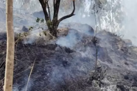 Advierten nuevas condiciones atmosfricas capaces de generar incendios forestale