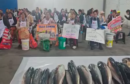 Exitosa y SNP entregan toneladas de pescado a ollas comunes.
