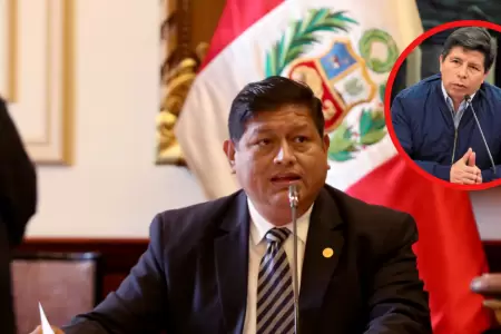 Walter Ayala indic que el expresidente recurrir al fallo del TC.