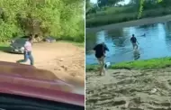 Hombres resultan heridos tras ser atacados por abejas mientras tomaban cerveza