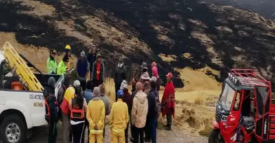 Controlan incendio forestal en Arequipa.