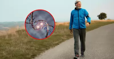 ¿Se puede perder peso caminando?: Esta es la respuesta que la ciencia halló en l