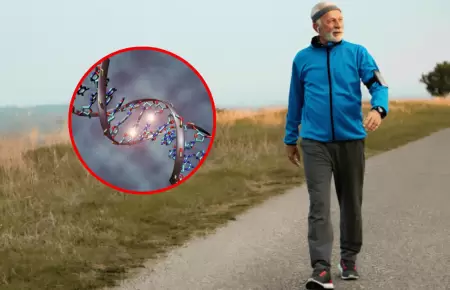Se puede perder peso caminando?: Esta es la respuesta que la ciencia hall en l