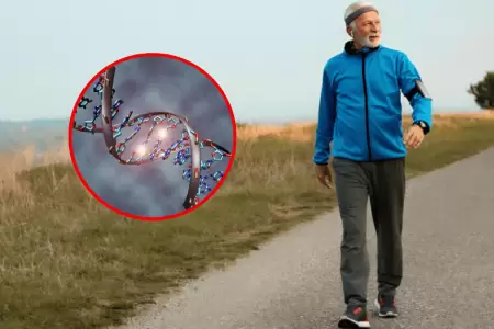 Se puede perder peso caminando?: Esta es la respuesta que la ciencia hall en l