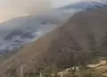 Extinguen cinco incendios forestales ncash, Cajamarca, Puno y Ucayali: 15 hectreas fueron afectadas