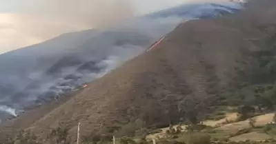 Extinguen cinco incendios forestales en cuatro regiones del Perú.