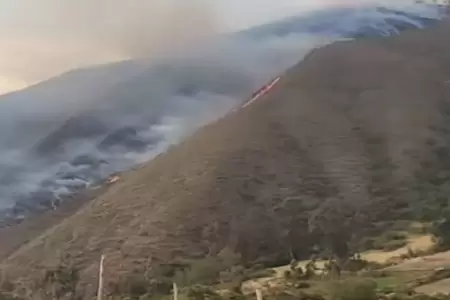 Extinguen cinco incendios forestales en cuatro regiones del Per.