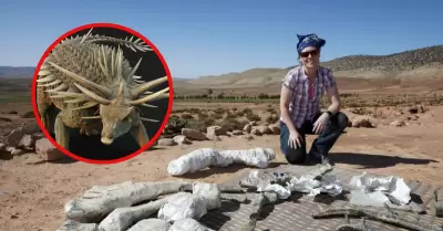 La extravagancia de la armadura del dinosaurio dejó sorprendido a la comunidad c
