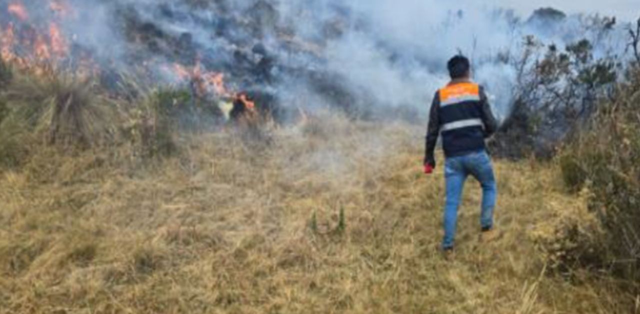 Extinguen incendios forestales en seis regiones: 39 hectáreas quedaron destruidas