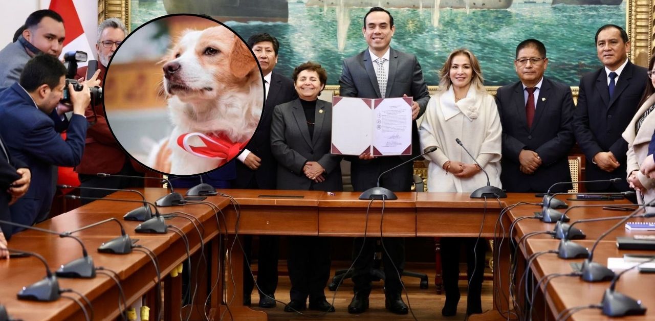 Congreso: Firman autógrafa de ley que reconoce al perro pastor Chiribaya como Patrimonio Cultural de la Nación