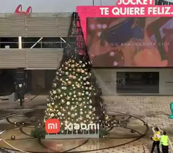 rbol quemado en 2021.