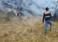 Extinguen incendios forestales en seis regiones: 39 hectreas quedaron destruidas