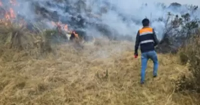 Extinguen incendios forestales originados el último fin de semana de agosto.